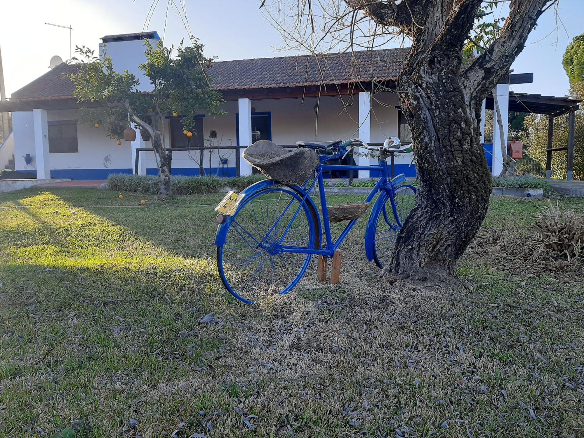 Monte Das Laranjeiras Corticadas do Lavre المظهر الخارجي الصورة
